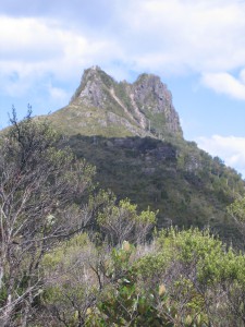 The Pinnacles 1