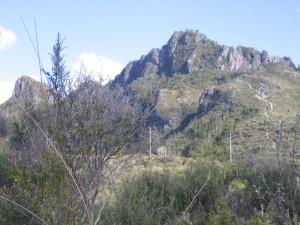 The Pinnacles 6