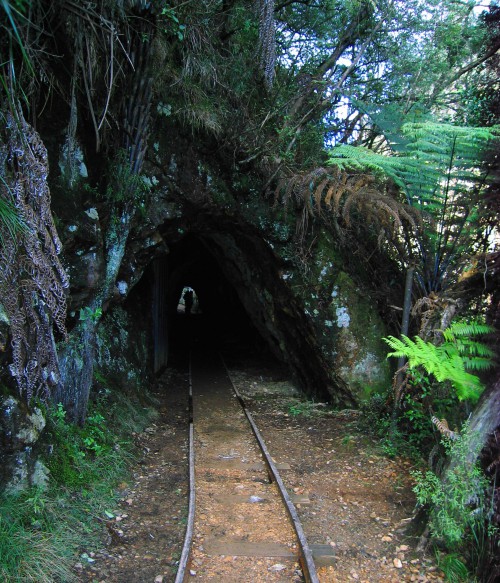 Karangahake Gorge