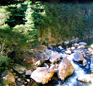 Karangahake Gorge