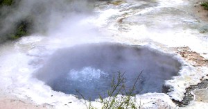 Hot Pool, Rotorua, New Zealand