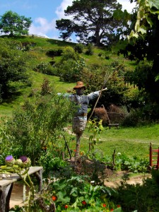 Hobbiton Scarecrow