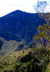 The Pinnacles 4