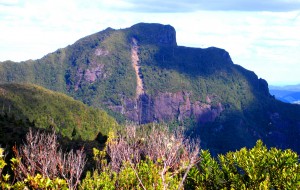 The Pinnacles 2