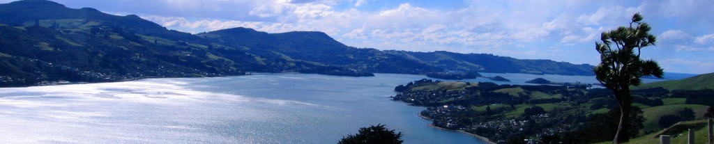 Otago Peninsula View