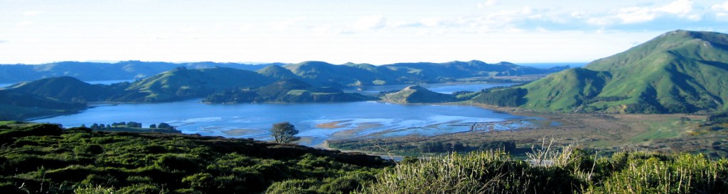 otago peninsula