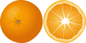 orange-158258_640