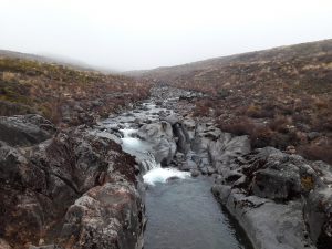 Misty Tongariro