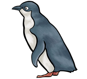 little blue penguin