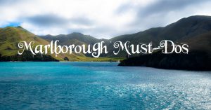 marlborough must-dos