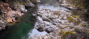 pelorus river